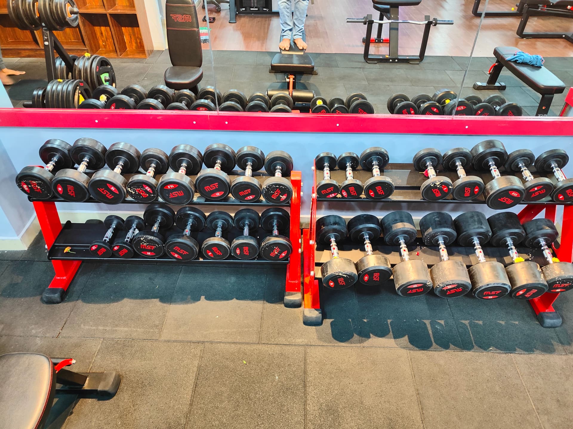 Full rubber dumbbell rack from 2.5kg to 40kg at Fit Station Gym